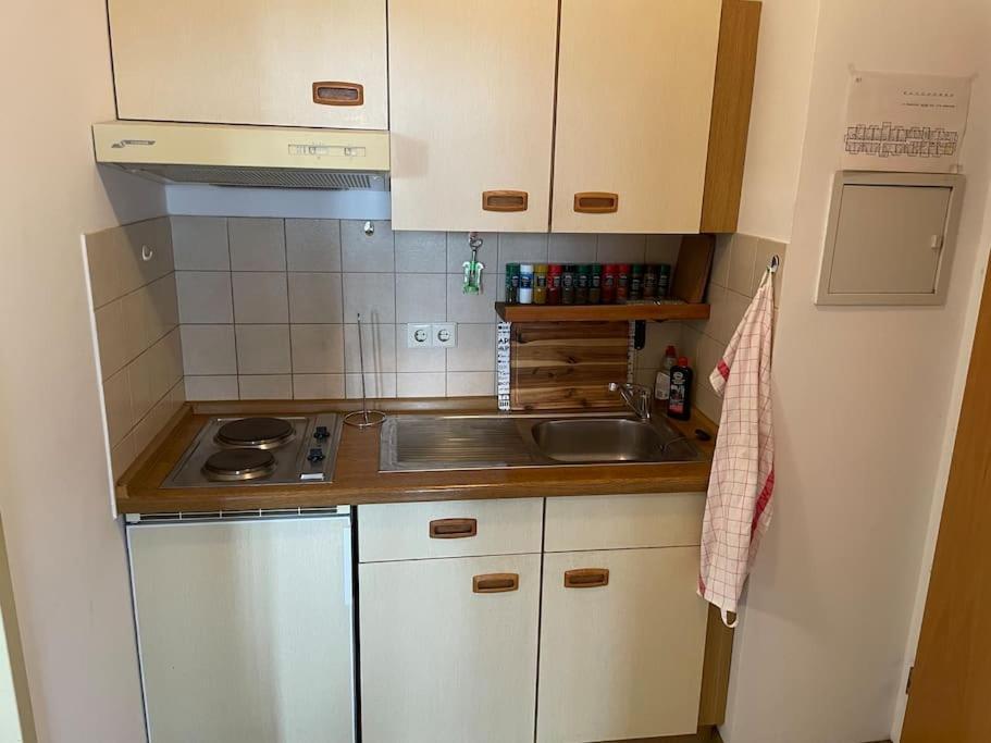 Apartment In Den Bergen Бад Грисбах Екстериор снимка